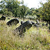  Kirkut (an old Jewish graveyard) 
