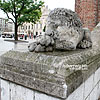  The sculptures of lions near the Town Hall

