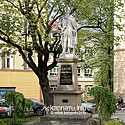  The monument to the king John III Sobieski, Rynek Square
