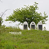  Jewish cemetery
