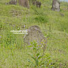  Jewish cemetery
