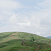  The landscape
