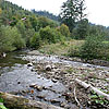  The Zhdenivka river
